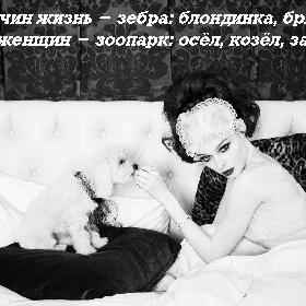 У мужчин жизнь - зебра: блондинка, брюнетка. А у женщин - зоопарк: осел, козел, зайчик.