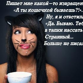 Пишет мне какой-то извращенец: «А ты кошечкой бываешь?!». Ну, я и ответила: «Да. Бываю. Тебе в тапки нассать?» Странный... Больше не писал...