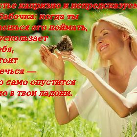 Счастье капризно и непредсказуемо, как бабочка: когда ты пытаешься его поймать, оно ускользает от тебя, но стоит отвлечься — и оно само опустится прямо в твои ладони.