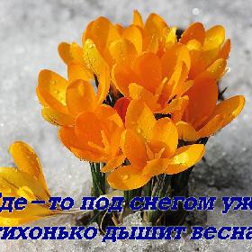Где-то под снегом уже тихонько дышит весна!