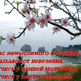 В час немыслимого отчаяния, Задыхаясь от невезения, Научись у камней молчанию, Научись у земли терпению.
