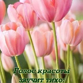 Голос красоты звучит тихо: он проникает только в самые чуткие уши...