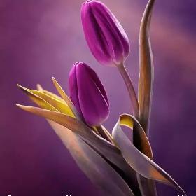 Отвлекайтесь от мыслей – увлекайтесь моментами...