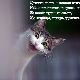 Пришла весна - запели птички,  И башню сносит по привычке.  Ее несет куда-то ввысь,  Ну, задница, теперь держись!