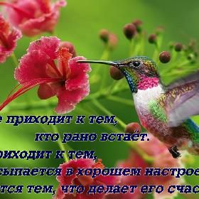 Успех не приходит к тем кто рано встает. Успех приходит к тем, кто просыпается в хорошем настроении и занимается тем, что делает его счастливым.