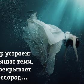 Так мир устроен: люди дышат теми, кто перекрывает им кислород…