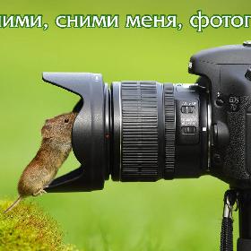 Ты сними, сними меня, фотограф!