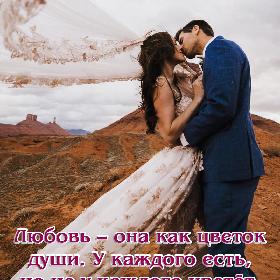 Любовь — она как цветок души. У каждого есть, но не у каждого цветет.