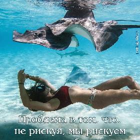 Проблема в том, что, не рискуя, мы рискуем в сто раз больше.