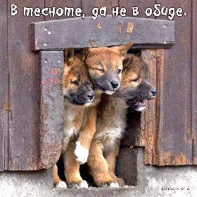 В тесноте, да не в обиде.