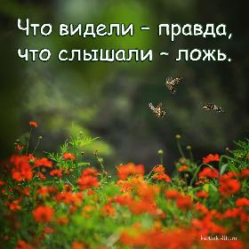 Что видели – правда, что слышали – ложь.