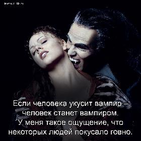 Если человека укусит вампир – человек станет вампиром. У меня такое ощущение, что некоторых людей покусало говно.