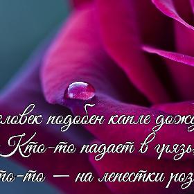 Человек подобен капле дождя... Кто-то падает в грязь, кто-то — на лепестки розы.