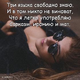Три языка свободно знаю. И в том никто не виноват, Что я легко употребляю Сарказм, иронию и мат.
