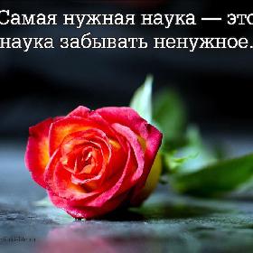 Самая нужная наука — это наука забывать ненужное.