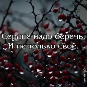 Сердце надо беречь. И не только свое.