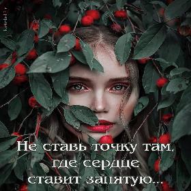 Не ставь точку там, где сердце ставит запятую...