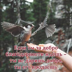 Если ты за добро благодарности ждешь – ты не даришь добро, ты его продаешь.