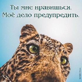 Ты мне нравишься. Мое дело предупредить.