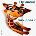 КАРТИНКИ ПРО ЛЮБОВЬ. КАРТИНКИ ПРО ОТНОШЕНИЯ.
