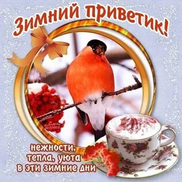 Открытка Зимний приветик! нежности, тепла, уюта в эти зимние дни Елена Шарова