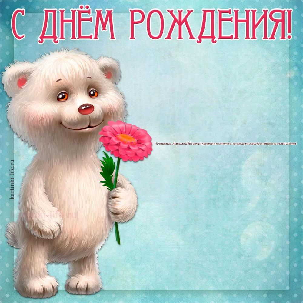 Именинник, Анатолий! Мы ценим прекрасные качества, которые ты приобрел вместе со своим именем.